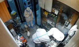 上海另类宠物店 上海另类宠物店